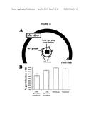 ENDOPHYTIC MICROBIAL SYMBIONTS IN PLANT PRENATAL CARE diagram and image