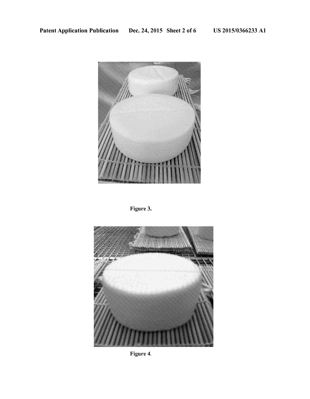 Methods And Compositions For Consumables - diagram, schematic, and image 03