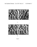 Portable Biometric Identification Device Using a Dorsal Hand Vein Pattern diagram and image