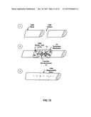 PERFORATED MEMBRANE FOR GUIDED BONE AND TISSUE REGENERATION diagram and image