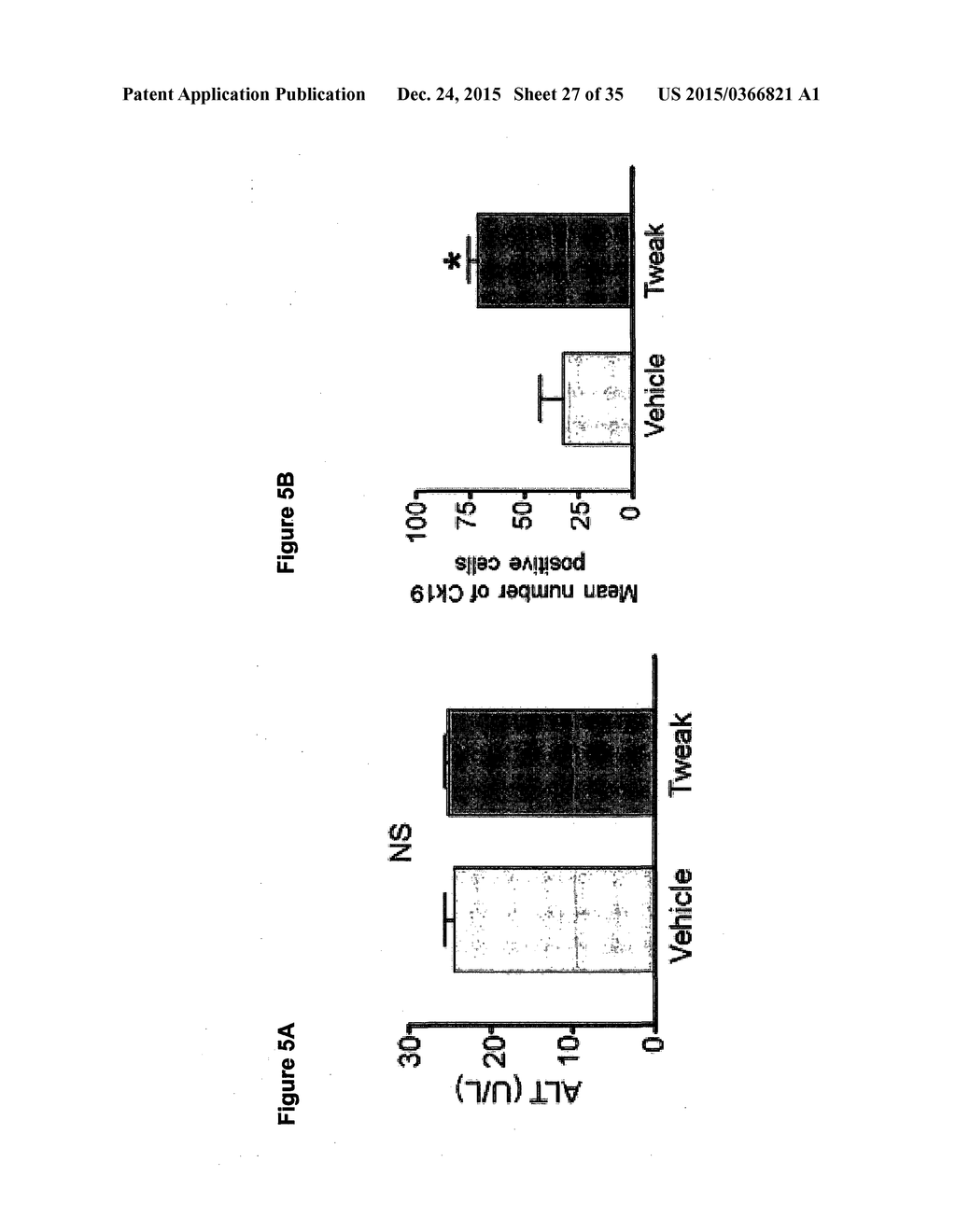 ADRENERGIC AGONISTS FOR USE IN TREATING LIVER DAMAGE - diagram, schematic, and image 28