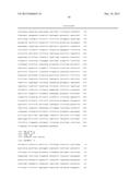 Endothelin Single Nucleotide Polymorphisms and Methods of Predicting     B-Adrenergic Receptor Targeting Agent Efficacy diagram and image