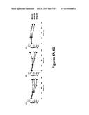 COMPOSITIONS AND METHODS FOR CANCER THERAPY diagram and image