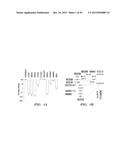 PROTON-MOTIVE FORCE STIMULATION TO POTENTIATE AMINOGLYCOSIDE ANTIBIOTICS     AGAINST PERSISTENT BACTERIA diagram and image