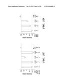 PROTON-MOTIVE FORCE STIMULATION TO POTENTIATE AMINOGLYCOSIDE ANTIBIOTICS     AGAINST PERSISTENT BACTERIA diagram and image