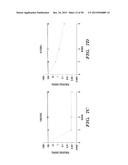 PROTON-MOTIVE FORCE STIMULATION TO POTENTIATE AMINOGLYCOSIDE ANTIBIOTICS     AGAINST PERSISTENT BACTERIA diagram and image