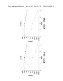 PROTON-MOTIVE FORCE STIMULATION TO POTENTIATE AMINOGLYCOSIDE ANTIBIOTICS     AGAINST PERSISTENT BACTERIA diagram and image