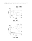 PROTON-MOTIVE FORCE STIMULATION TO POTENTIATE AMINOGLYCOSIDE ANTIBIOTICS     AGAINST PERSISTENT BACTERIA diagram and image