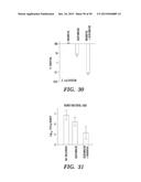 PROTON-MOTIVE FORCE STIMULATION TO POTENTIATE AMINOGLYCOSIDE ANTIBIOTICS     AGAINST PERSISTENT BACTERIA diagram and image