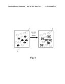 USE OF HEAT SHOCK PROTEIN INHIBITOR IN PREPARING PHARMACEUTICAL     COMPOSITION FOR TREATING HEPATITIS AND HEPATOMA diagram and image