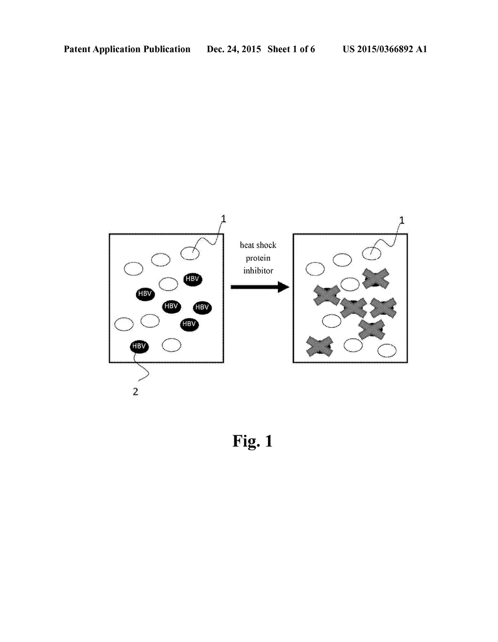 USE OF HEAT SHOCK PROTEIN INHIBITOR IN PREPARING PHARMACEUTICAL     COMPOSITION FOR TREATING HEPATITIS AND HEPATOMA - diagram, schematic, and image 02