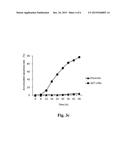 USE OF HEAT SHOCK PROTEIN INHIBITOR IN PREPARING PHARMACEUTICAL     COMPOSITION FOR TREATING HEPATITIS AND HEPATOMA diagram and image