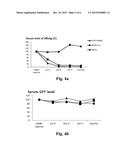 USE OF HEAT SHOCK PROTEIN INHIBITOR IN PREPARING PHARMACEUTICAL     COMPOSITION FOR TREATING HEPATITIS AND HEPATOMA diagram and image