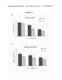 CANCER THERAPY USING miRNAs diagram and image