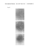 STEM CELL MICROPARTICLES AND miRNA diagram and image