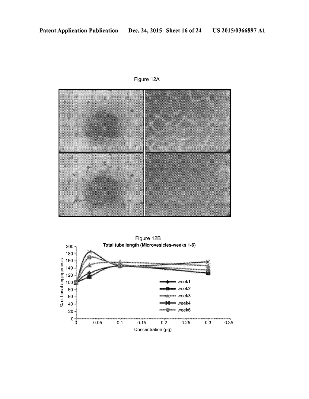 STEM CELL MICROPARTICLES AND miRNA - diagram, schematic, and image 17