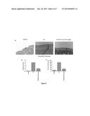 METHODS FOR REDUCING FIBROSIS INDUCED BY PERITONEAL DIALYSIS diagram and image