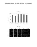 POSITIVELY CHARGED POLYSACCHARIDES FOR RNA TRANSFECTION diagram and image
