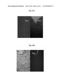 POSITIVELY CHARGED POLYSACCHARIDES FOR RNA TRANSFECTION diagram and image