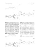 ANTIBODY-LINKER-DRUG CONJUGATE, PREPARATION METHOD THEREFOR, AND     ANTICANCER DRUG COMPOSITION CONTAINING SAME diagram and image