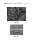 MAGNETIC MICROSTRUCTURES FOR MAGNETIC RESONANCE IMAGING diagram and image