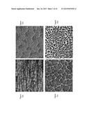 FABRICATION OF NANOWIRES AND HIERARCHICALLY POROUS MATERIALS THROUGH     SUPERCRITICAL CO2 ASSISTED NEBULIZATION diagram and image