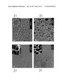 FABRICATION OF NANOWIRES AND HIERARCHICALLY POROUS MATERIALS THROUGH     SUPERCRITICAL CO2 ASSISTED NEBULIZATION diagram and image