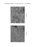 FABRICATION OF NANOWIRES AND HIERARCHICALLY POROUS MATERIALS THROUGH     SUPERCRITICAL CO2 ASSISTED NEBULIZATION diagram and image