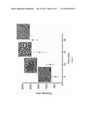 FABRICATION OF NANOWIRES AND HIERARCHICALLY POROUS MATERIALS THROUGH     SUPERCRITICAL CO2 ASSISTED NEBULIZATION diagram and image