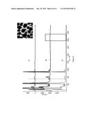 FABRICATION OF NANOWIRES AND HIERARCHICALLY POROUS MATERIALS THROUGH     SUPERCRITICAL CO2 ASSISTED NEBULIZATION diagram and image