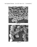 FABRICATION OF NANOWIRES AND HIERARCHICALLY POROUS MATERIALS THROUGH     SUPERCRITICAL CO2 ASSISTED NEBULIZATION diagram and image