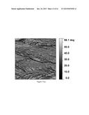 FABRICATION OF NANOWIRES AND HIERARCHICALLY POROUS MATERIALS THROUGH     SUPERCRITICAL CO2 ASSISTED NEBULIZATION diagram and image