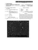 PATTERNED CARBON NANOTUBE ELECTRODE diagram and image