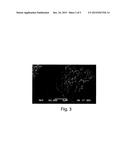 POROUS INORGANIC/ORGANIC HYBRID PARTICLES HAVING HIGH ORGANIC CONTENT AND     ENHANCED PORE GEOMETRY FOR CHROMATOGRAPHIC SEPARATIONS diagram and image