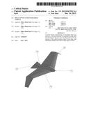 Delta M-Wing Unmanned Aerial Vehicle diagram and image