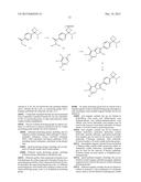 IMIDAZOPYRIDAZINES AS AKT KINASE INHIBITORS diagram and image