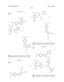 INHIBITORS OF FATTY ACID AMIDE HYDROLASE diagram and image