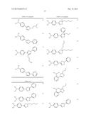 INHIBITORS OF FATTY ACID AMIDE HYDROLASE diagram and image