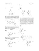 INHIBITORS OF FATTY ACID AMIDE HYDROLASE diagram and image