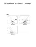 NOVEL IMMUNOTHERAPY AGAINST SEVERAL TUMORS OF THE BLOOD, IN PARTICULAR     CHRONIC LYMPHOID LEUKEMIA (CLL) diagram and image