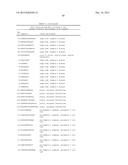 NOVEL IMMUNOTHERAPY AGAINST SEVERAL TUMORS OF THE BLOOD, IN PARTICULAR     CHRONIC LYMPHOID LEUKEMIA (CLL) diagram and image