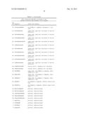 NOVEL IMMUNOTHERAPY AGAINST SEVERAL TUMORS OF THE BLOOD, IN PARTICULAR     CHRONIC LYMPHOID LEUKEMIA (CLL) diagram and image