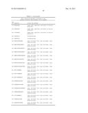 NOVEL IMMUNOTHERAPY AGAINST SEVERAL TUMORS OF THE BLOOD, IN PARTICULAR     CHRONIC LYMPHOID LEUKEMIA (CLL) diagram and image