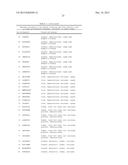 NOVEL IMMUNOTHERAPY AGAINST SEVERAL TUMORS OF THE BLOOD, IN PARTICULAR     CHRONIC LYMPHOID LEUKEMIA (CLL) diagram and image