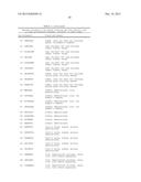 NOVEL IMMUNOTHERAPY AGAINST SEVERAL TUMORS OF THE BLOOD, IN PARTICULAR     CHRONIC LYMPHOID LEUKEMIA (CLL) diagram and image