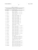 NOVEL IMMUNOTHERAPY AGAINST SEVERAL TUMORS OF THE BLOOD, IN PARTICULAR     CHRONIC LYMPHOID LEUKEMIA (CLL) diagram and image