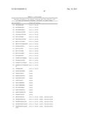 NOVEL IMMUNOTHERAPY AGAINST SEVERAL TUMORS OF THE BLOOD, IN PARTICULAR     CHRONIC LYMPHOID LEUKEMIA (CLL) diagram and image