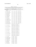 NOVEL IMMUNOTHERAPY AGAINST SEVERAL TUMORS OF THE BLOOD, IN PARTICULAR     CHRONIC LYMPHOID LEUKEMIA (CLL) diagram and image