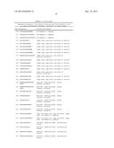 NOVEL IMMUNOTHERAPY AGAINST SEVERAL TUMORS OF THE BLOOD, IN PARTICULAR     CHRONIC LYMPHOID LEUKEMIA (CLL) diagram and image