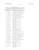 NOVEL IMMUNOTHERAPY AGAINST SEVERAL TUMORS OF THE BLOOD, IN PARTICULAR     CHRONIC LYMPHOID LEUKEMIA (CLL) diagram and image